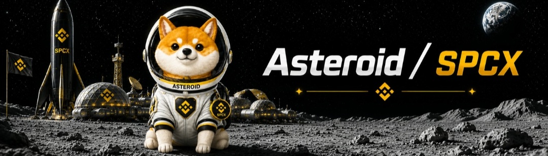 Asteroid / SPCX lunar banner artwork